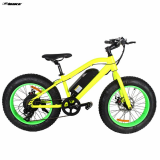 Electric Bike  TDE19